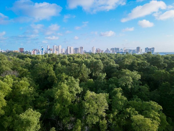 Ressources éducatives en français : votre partenaire pour l'orthographe