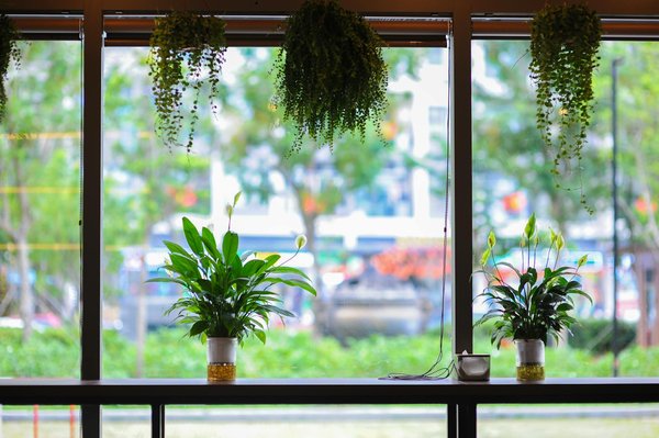 Surf à saint-jean-de-luz : les meilleures locations à découvrir